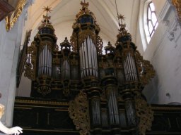 „Wiosna w Bukowym Lesie”